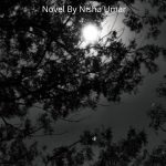 Black Moon Novel Season 1 by Nisha Umar