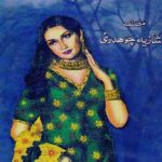 Tere Liye Hai Mera Dil Novel By Shazia Chaudhary