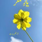 Yaar e Sitamgar Novel By Neelam Riasat