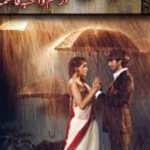 Shah E Man Novel by Wahiba Fatima