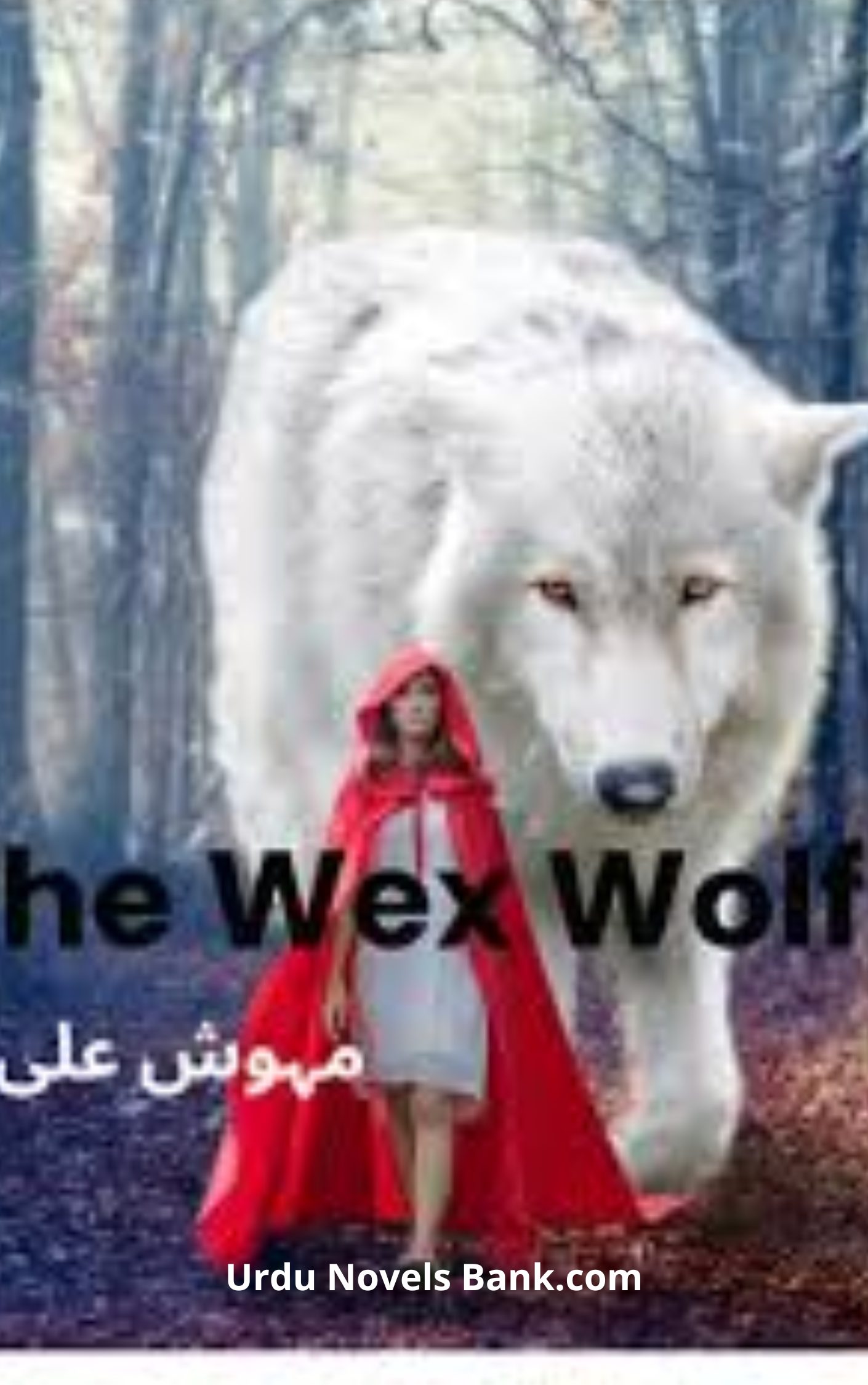 The Wex Wolf Novel By Mehwish Ali