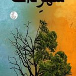 Shehr e Zaat Novel By Umera Ahmed