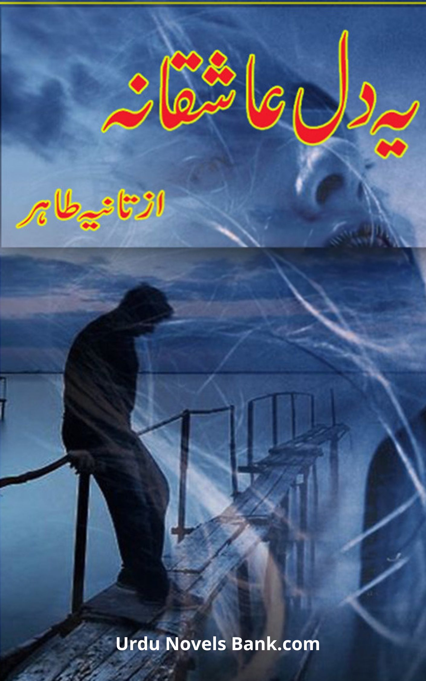 Yeh Dil Aashiqana Novel By Tania Tahir