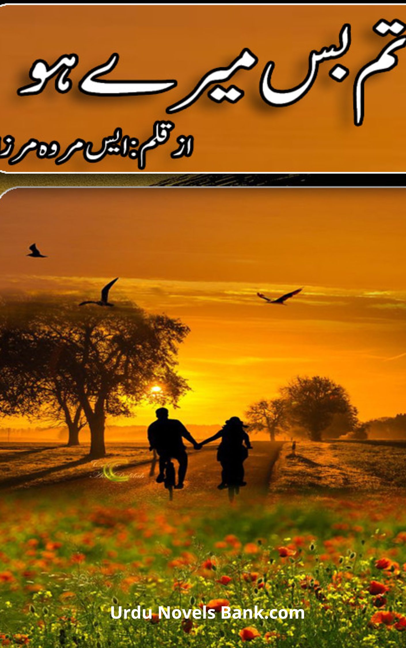 Tum Bas Mere Ho Novel By S Merwa Mirza